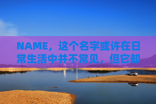 NAME，这个名字或许在日常生活中并不常见，但它却在某些领域里扮演着重要的角色。今天，让我们一起来探索这个名字背后的故事和意义